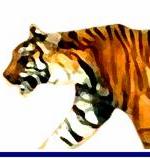 Water Tiger